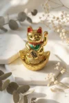 Fengshui Lucky Cat